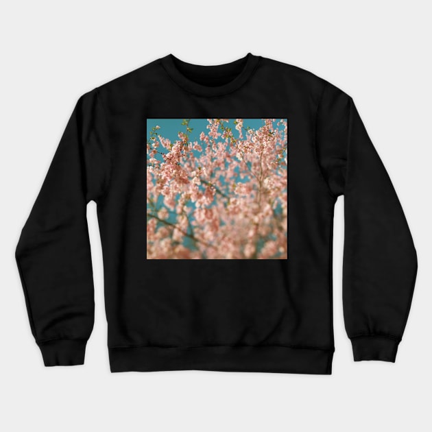 Growth Crewneck Sweatshirt by ALICIABOCK